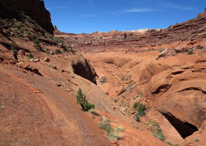 We had to climb up on to slabs above the canyon bottom some times to make progress