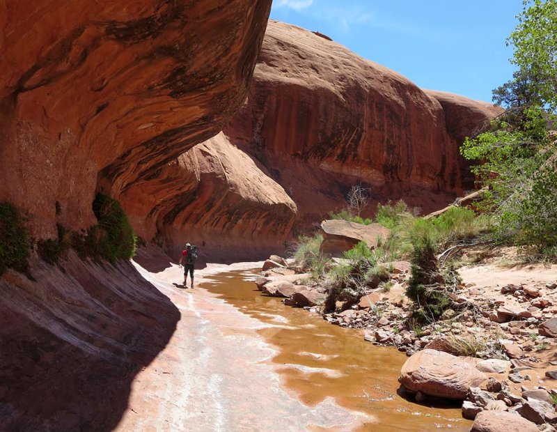 We loved this canyon...
