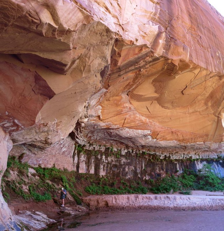 Coyote Gulch is a fairly popular canyon (ie we see other people!)