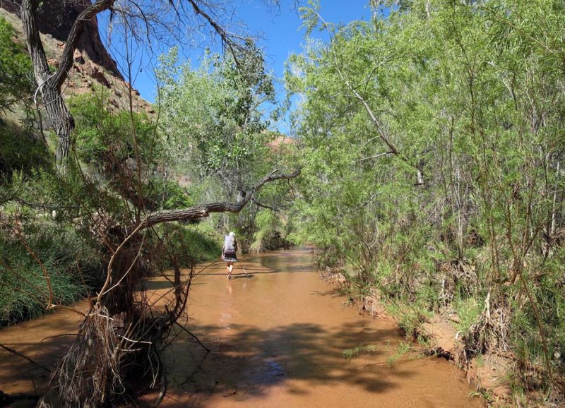 Splashing up Coyote Gulch