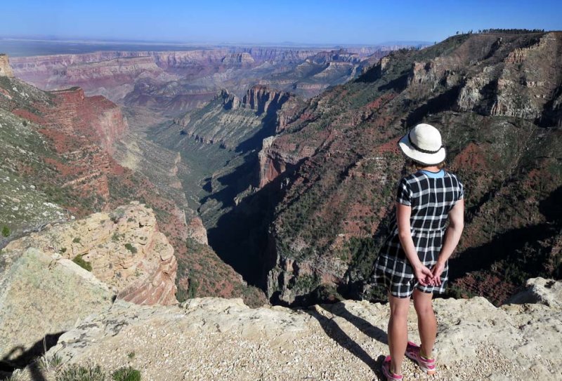 The Canyon at last- looking to Nankoweap