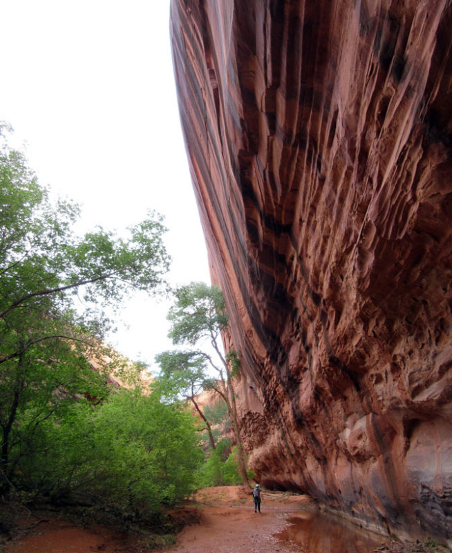 Silver Falls-Choprock Loop: Neon Canyon