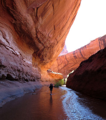 We split off the Escalante to join beautiful Coyote Gulch