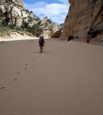 Sandy Hackberry Canyon floor - nice but slow going