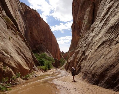 Hackberry Canyon