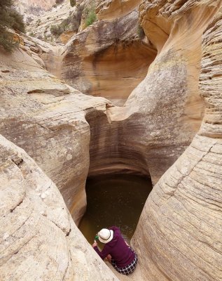 Martina collects our overnight water from a huge waterpocket found on the way up Bull Valley Gorge