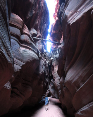 Buckskin Gulch with flash flood debris