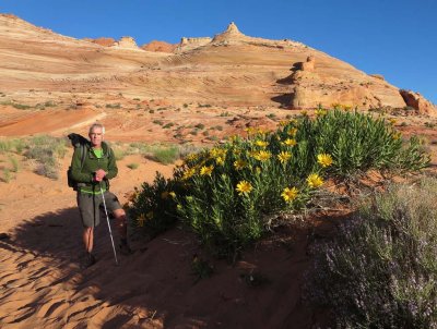 Coyote Buttes