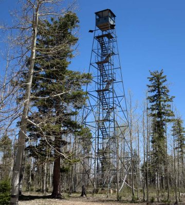 Disused fire lookout tower as we enter Grand Canyon National Park