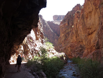 North Kiabab Trail