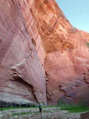 East Fork of the Virgin River