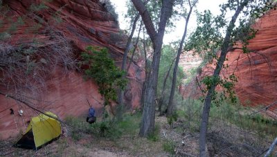 Camp in the East Fork