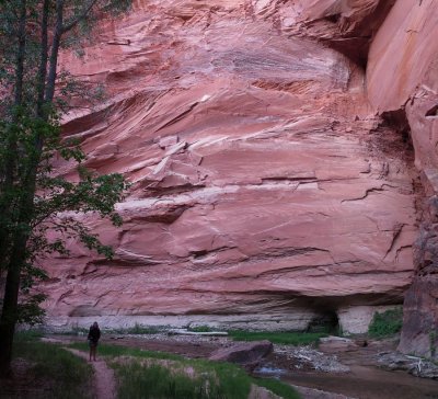 East Fork