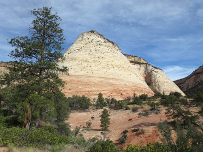 Checkerboard Mesa