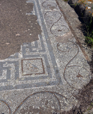 Kos mosiac in ancient agora