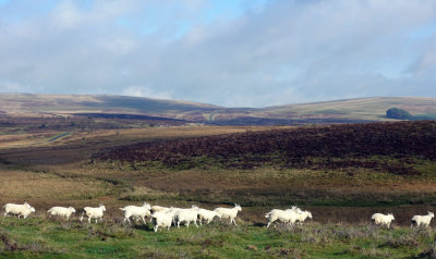 Part I Limestone plateau west of Kirkby Stephen