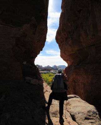 Salt Creek canyon