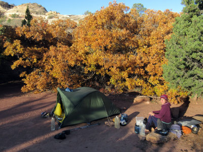 Oct 2016 Utah Salt Creek canyon 1st camp at park campsite SC1