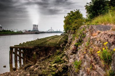 From Ancient Timbers, To Modern Industry