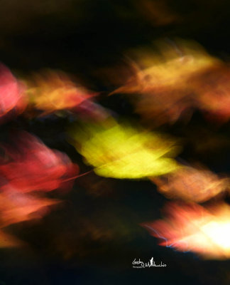 Autumn Motion Blur