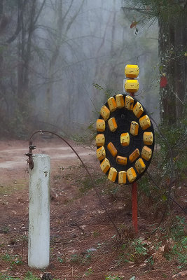 Happy Farm Entrance in the Fog.jpg