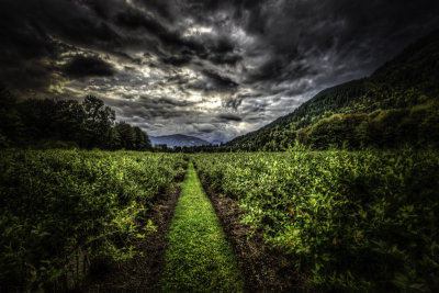 Cascadia Farms