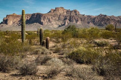 Superstition Mountains