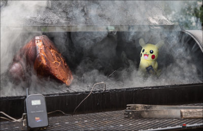 Smoked Pikachu