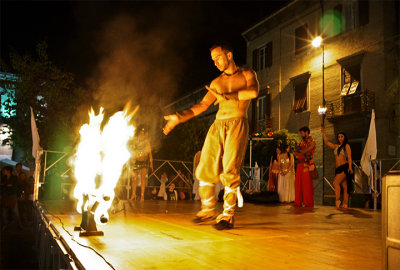 DSC08800(1).jpg