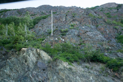 Alaska-1023.jpg