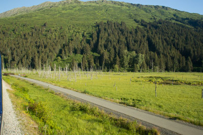 Alaska-1038.jpg