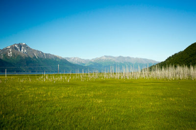 Alaska-1039.jpg