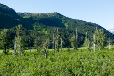 Alaska-1073.jpg