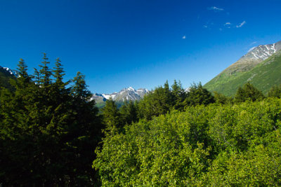 Alaska-1117.jpg
