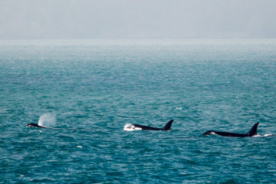 Alaska-1166.jpg