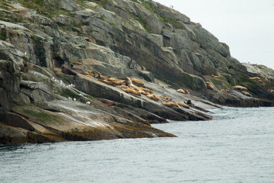 Alaska-1175.jpg