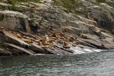 Alaska-1179.jpg