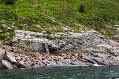 Alaska-1183.jpg