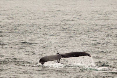Alaska-1187.jpg