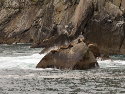 Alaska-1218.jpg