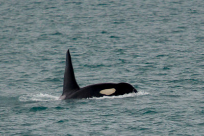 Alaska-1229.jpg