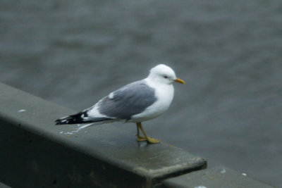 Alaska-1286.jpg
