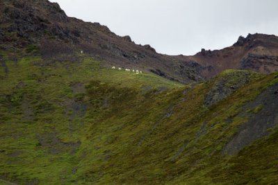 Alaska-1290.jpg