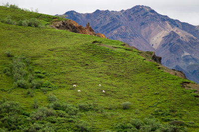 Alaska-1292.jpg