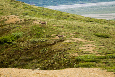 Alaska-1326.jpg