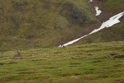 Alaska-1337.jpg