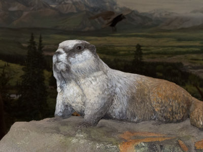 Alaska-1387.jpg