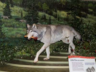 Alaska-1389.jpg