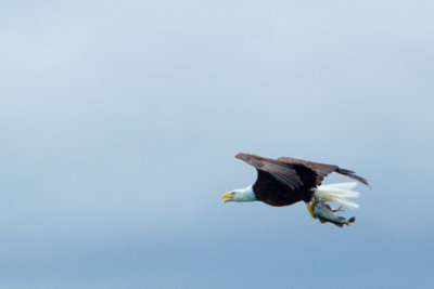 Alaska-1628.jpg
