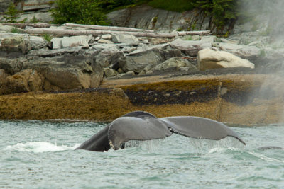 Alaska-1711.jpg